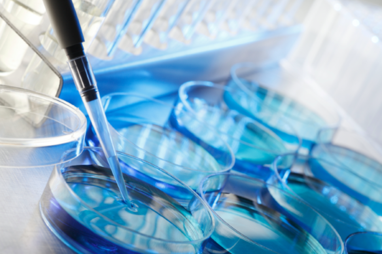 Hidrojenli Su Bilimsel Makaleler